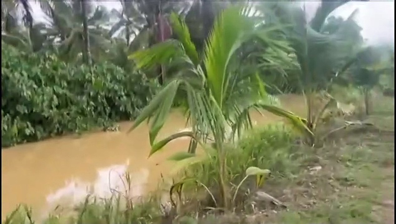 ARANGUEZ FARMERS DEMAND ACTION