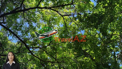 Review Green Island Reef Cruise Full Day Tour from Cairns