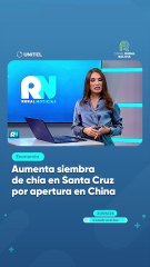 Aumenta siembra de chía en Santa Cruz por apertura en China