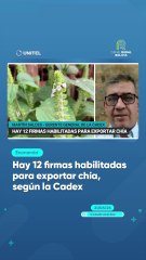 Hay 12 firmas habilitadas para exportar chía, según la Cadex