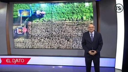 El Dato - Retos y oportunidades del sector agroalimentario - 20 de mayo 2025