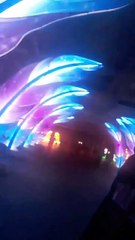 #446. Walking through the hall of lighted feathers. Part 2.