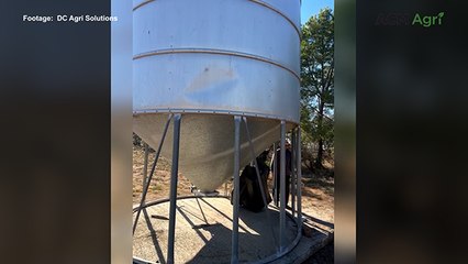 Clearing a silo that was blocked with 42 tonnes of fertiliser