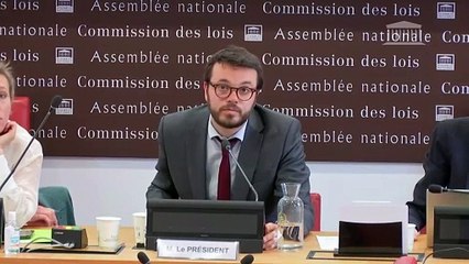 Effets psychologiques de TikTok sur les mineurs : Auditions diverses - Mardi 20 mai 2025