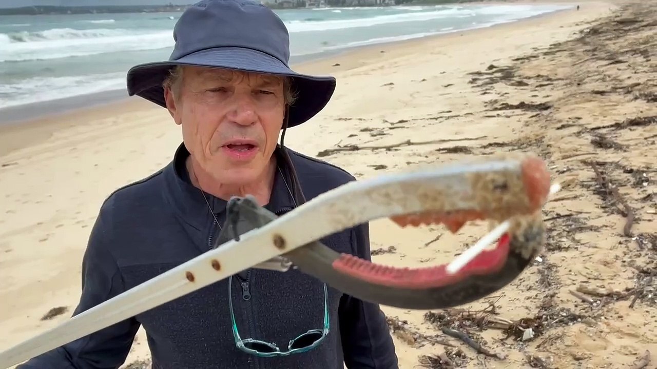 Wanda beach litter