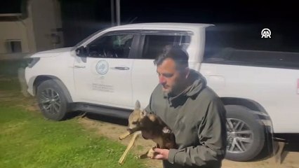 Vatandaş buldu, ekipler harekete geçti