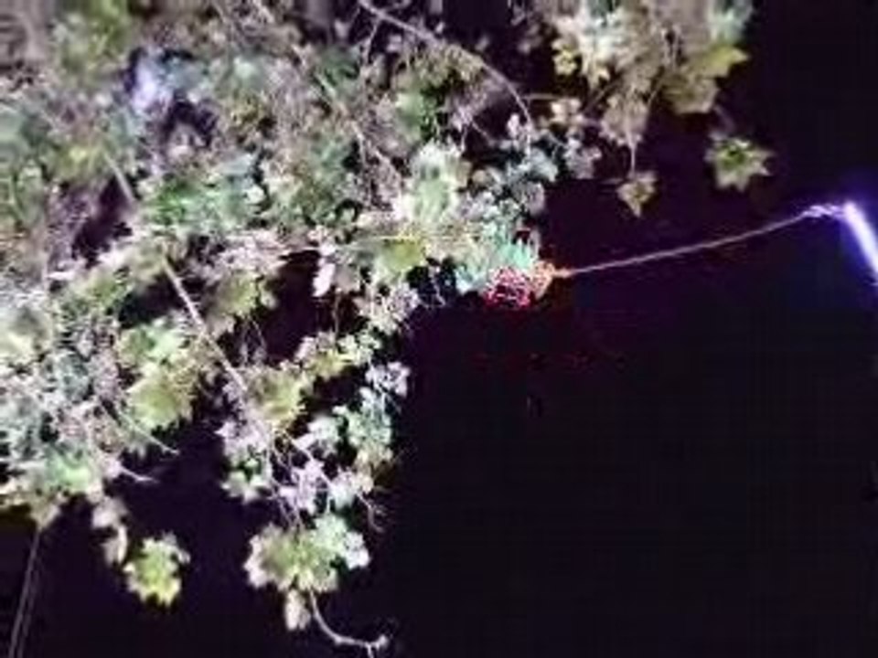 Lancer Boule Impulsion Feria 2008 Nîmes (par DIAKE)