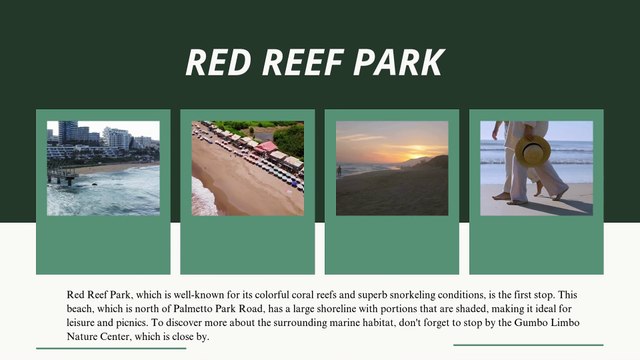 Where to Go: Best Boca Raton Beach Locations for Families & Travelers