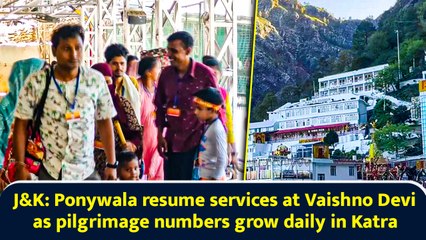 J&K: Ponywala resume services at Vaishno Devi as pilgrimage numbers grow daily in Katra