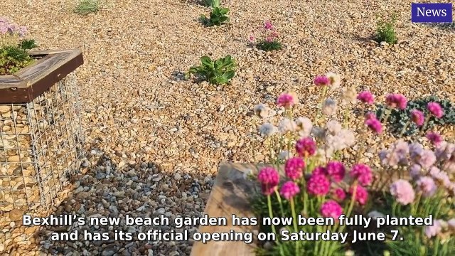 Sussex World Morning Update 21 May, 2025