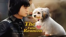 The Fatal Reunion CN Snackshort