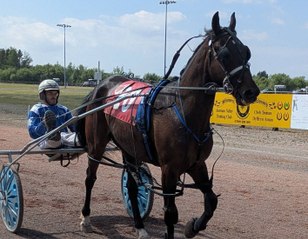 Wales & Border Counties Harness Racing at Tairgwaith