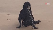 Ein unheimliches Wesen am Strand in Mittelamerika gesichtet