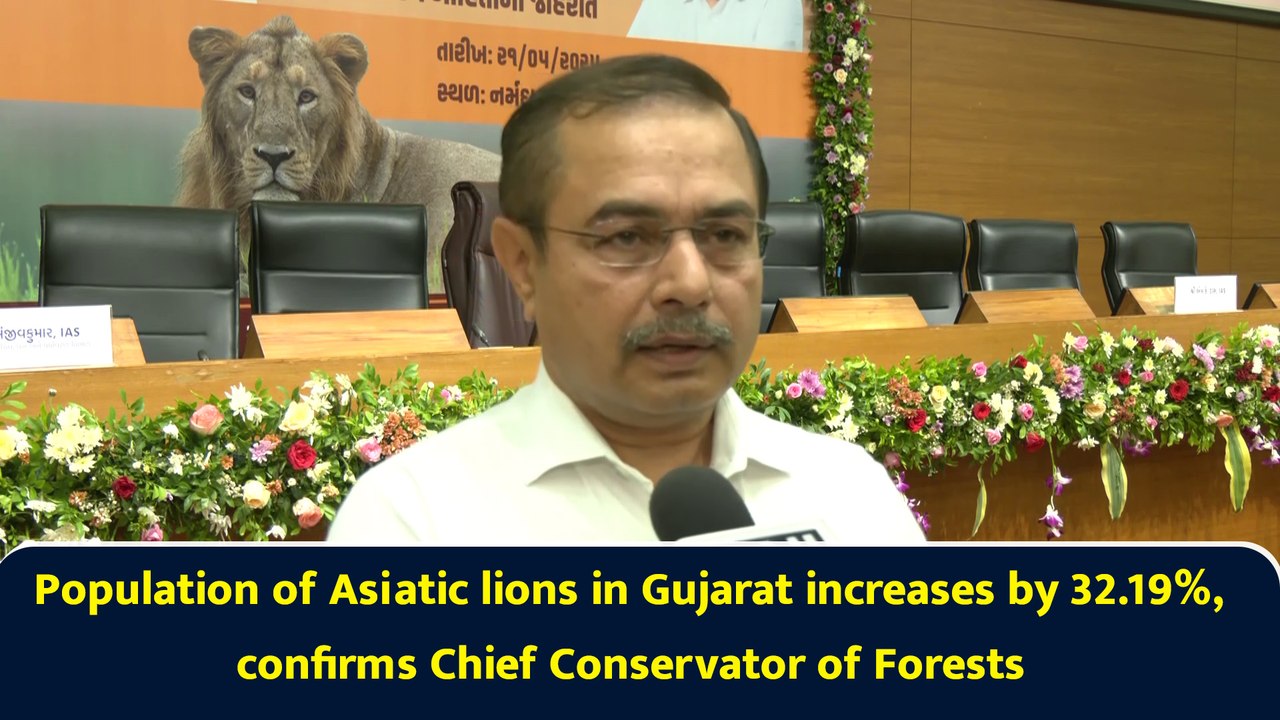 Population of Asiatic lions in Gujarat increases by 32.19%, confirms Chief Conservator of Forests
