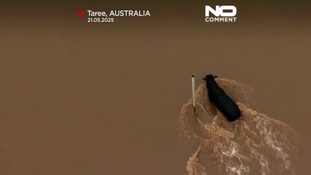 Continuano i soccorsi per le alluvioni nel Nuovo Galles del Sud dopo le piogge diffuse