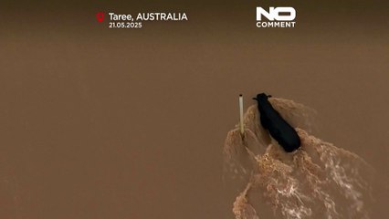 Continuano i soccorsi per le alluvioni nel Nuovo Galles del Sud dopo le piogge diffuse