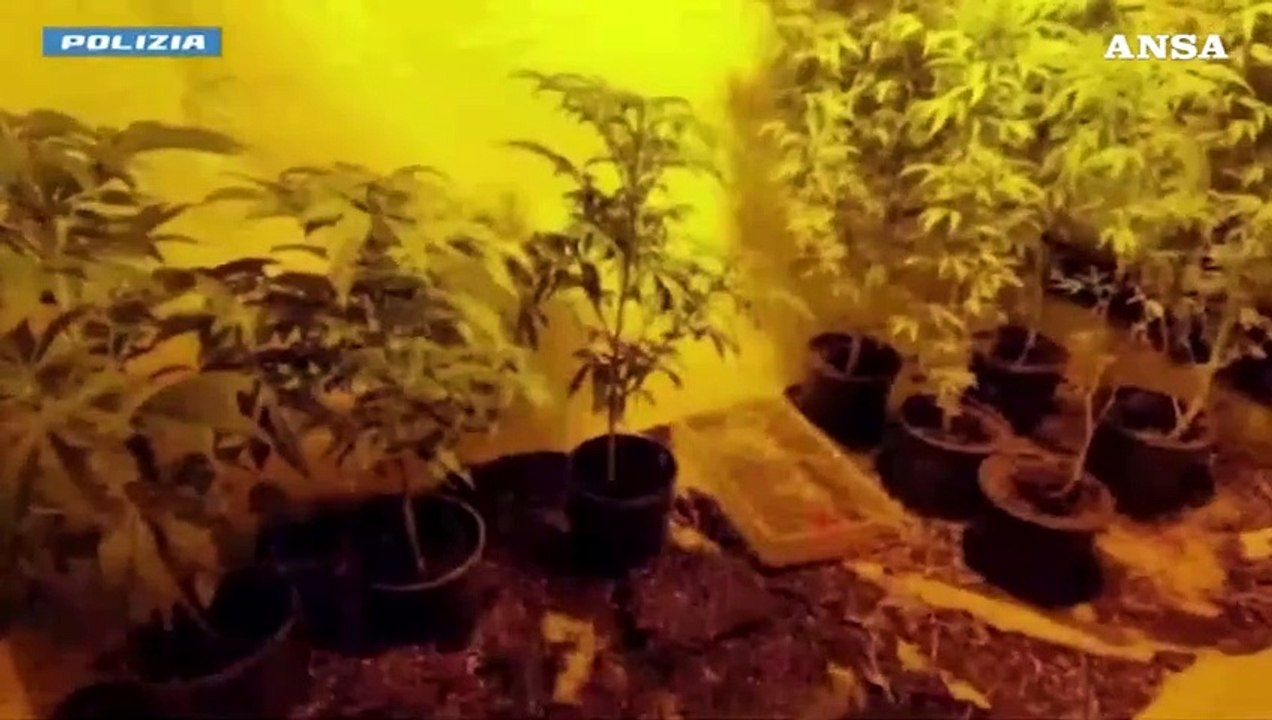 Traffico di droga, riciclaggio e armi: sgominata banda tra Milano e Malaga