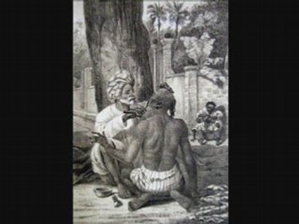 CILABROS -Bato fou