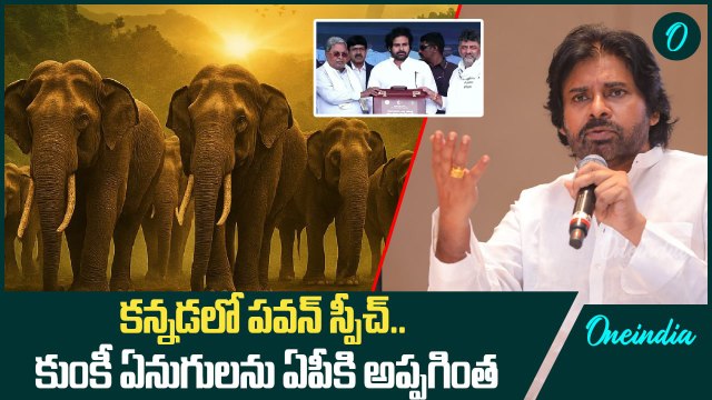 PAWAN KALYAN - Siddaramaiah కు మాటిచ్చిన పవన్, Kumki Elephant సంరక్షణ బాధ్యత | Oneindia Telugu