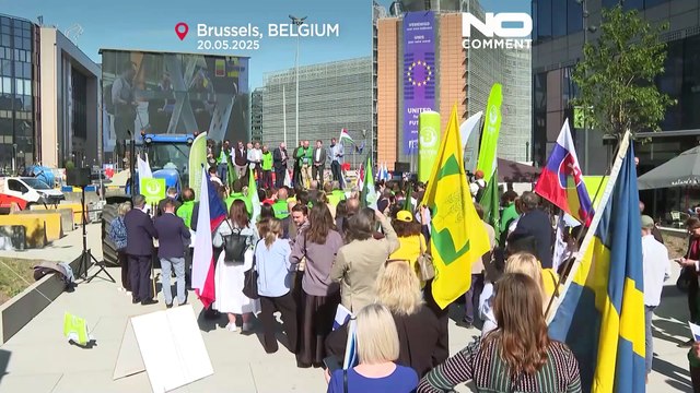 Farmers rally in Brussels over agricultural funding concerns