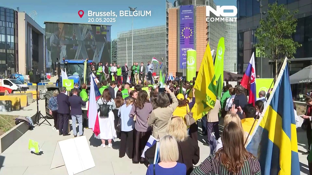 Фермеры протестуют в Брюсселе против реформ ЕС