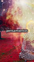DEL PENSAMIENTO A LA MATERIA: EL SECRETO QUE LA CIENCIA NO QUIERE QUE SEPAS