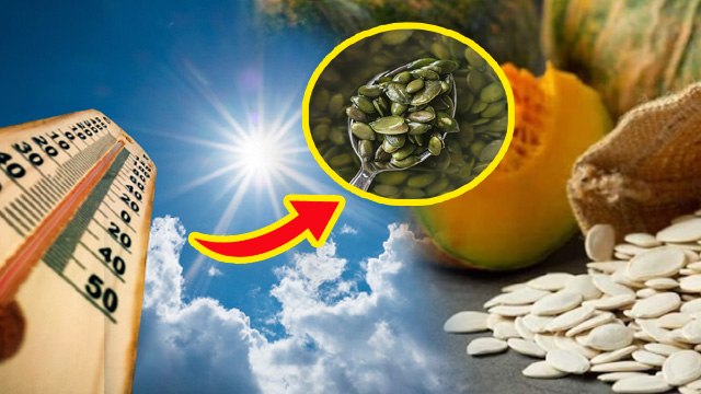 Pumpkin Seeds Benefits: गर्मियों में कद्दू के बीज खाने के फायदे,खाने का सही तरीका | Boldsky