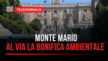 Bonifica a Monte Mario, partono i lavori taglia-fuoco