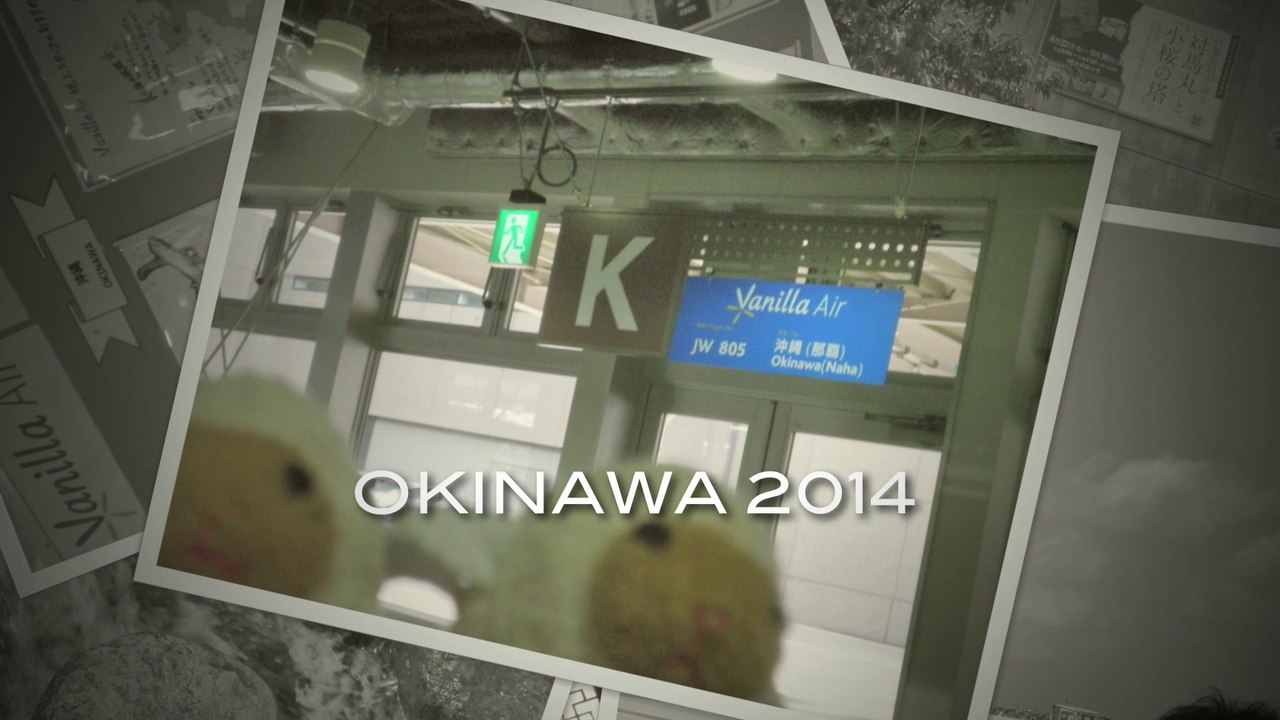 沖縄2014
