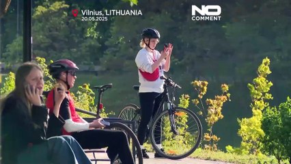 Elch besucht überraschend das Stadtzentrum von Vilnius