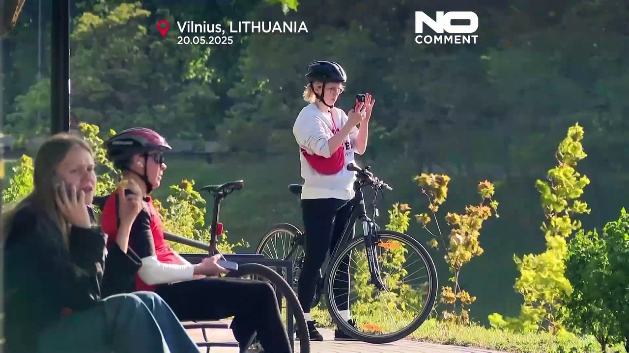 Elch besucht überraschend das Stadtzentrum von Vilnius