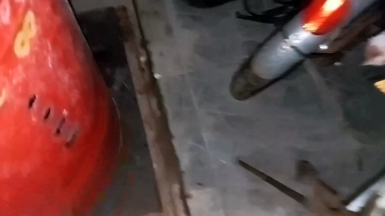 Prank Anak Kucing Gak Kenal Bikin Kaburr