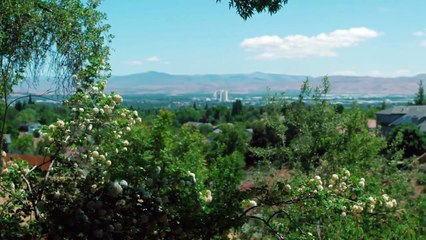 Homicide Hunter American Detective S05E08 Twelve Hours of Terror