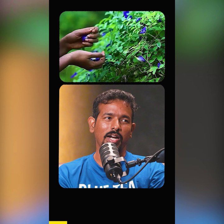 1. What is Blue Tea_Feed