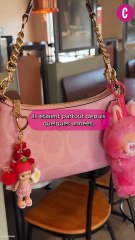 Labubu : La Peluche Malicieuse qui Enflamme TikTok en 2024 🧸