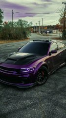 Girls Love Cars – Discover Why They’re Irresistible! 🚗