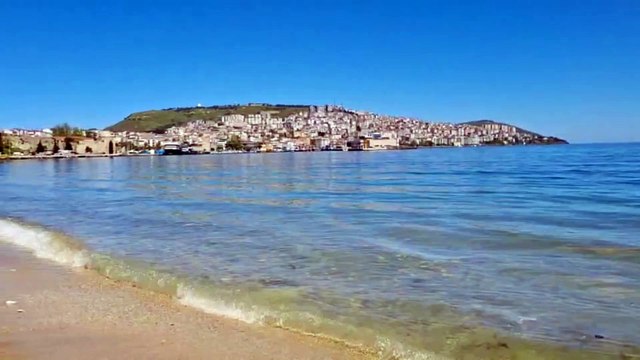 Sinop sahilinde kirlilik alarmı