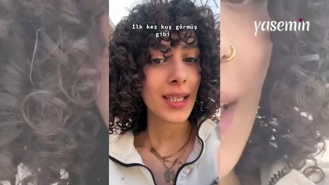 Kedinin kuş görünce verdiği tepki görenleri güldürdü!