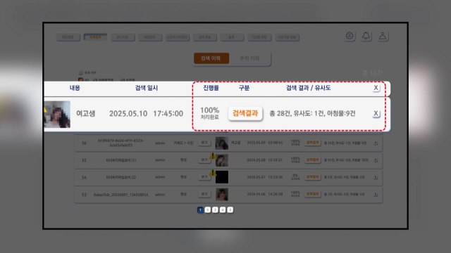 [서울] '성범죄 영상 찾아 삭제 신고' 자동화 시스템 개발 / YTN