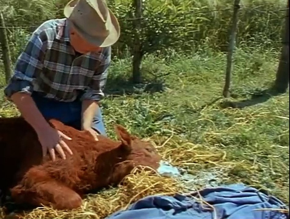 Der Landarzt S01E01E02-Geburtstag-Glücklich geschieden