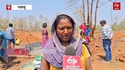 पलामू के 79 आदिवासी परिवारों की बदल गई किस्मत! सरकार ने ऐसा किया जो पहले कभी नहीं हुआ