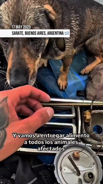 May 17, 2025 Argentina   Sarate- Torrential rains triggered a state of emergency in Buenos Aires province....z bridge, linking the province to Greater Buenos Aires, was closed due to flooding on national routes 6 and 9. Over 400 mm