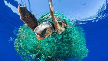 13 Shocking Facts About the Great Pacific Garbage Patch!