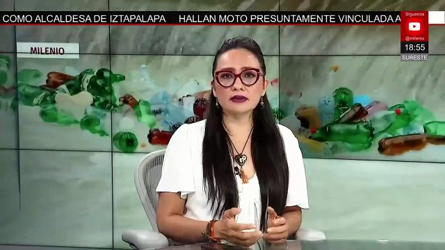 Capacitan a brigadistas para restaurar arrecifes de coral en Quintana Roo | Milenio Hábitat