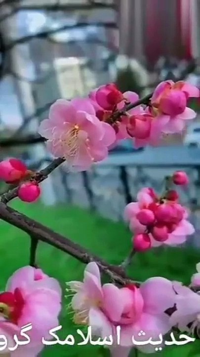 ساعة كاملة من اروع تلاوات القران الكريم