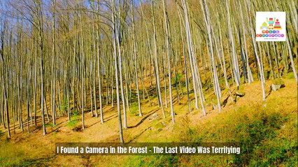 I Found a Camera in the Forest – You Won’t Believe What Was on the Last Video!