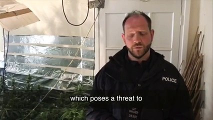 How to spot signs of Cannabis