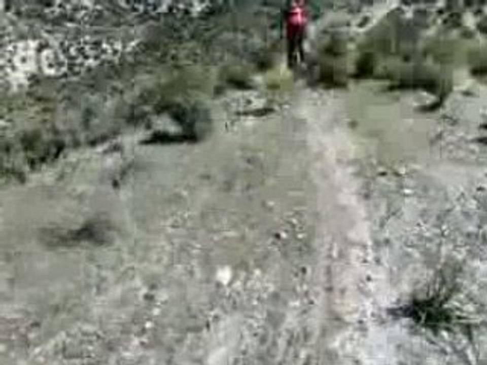 2008-03-01-vereda cerca de la autovia lorca-aguilas