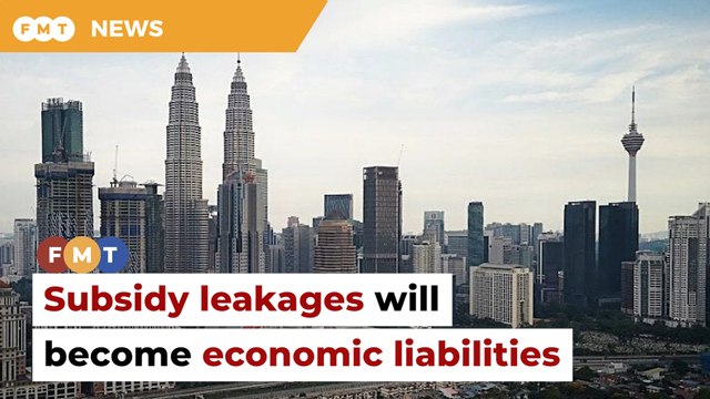 Failure to curb subsidy leakages risks economic liabilities, says economist