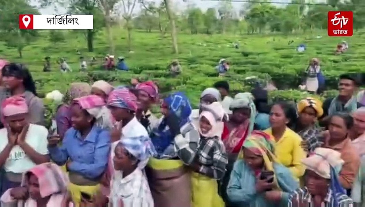 চা-বাগানের মহিলাদের শাড়ি, ছোটদের পুতুল-চকোলেট...